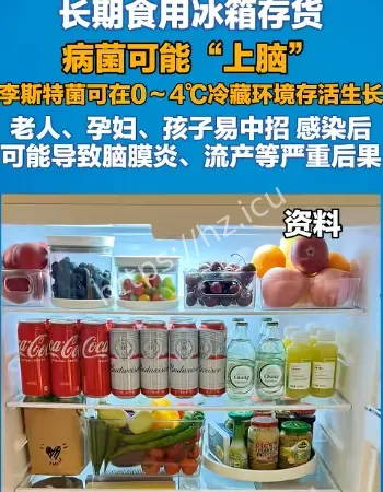 长期食用冰箱存货